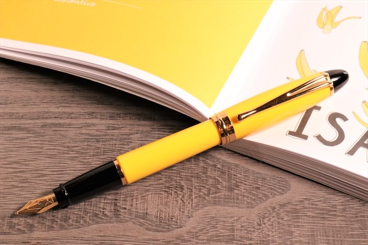 アウロラ イプシロン イエロー 万年筆　Aurora Ipsilon Yellow Fountain pen