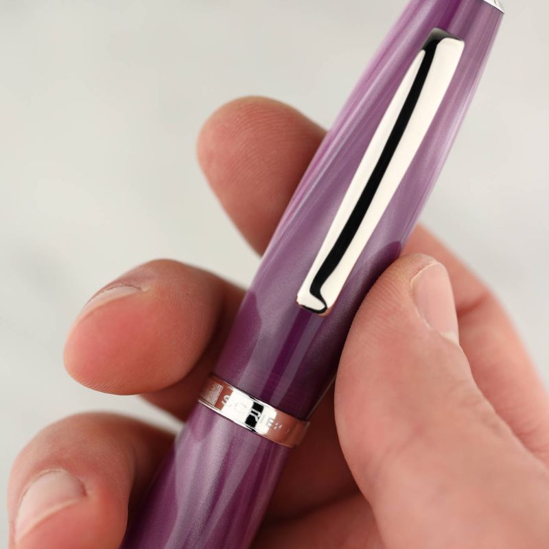 スクリーボ 限定生産品 ラ・ドッタ カンパヌラ 万年筆