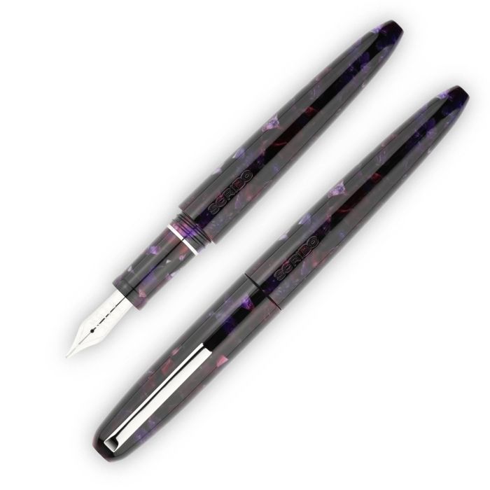 スクリーボ 限定生産品 ピウマ アルトローヴェ 万年筆